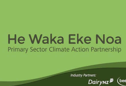 Dairy NZ