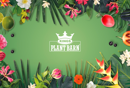 Kings Plant Barn