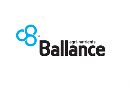 MyBallance
